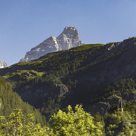 Hellochalet - Chalet Northern Lights - Family Ski Chalet With Garden Walking Distance Lift Valtournenche Εξωτερικό φωτογραφία