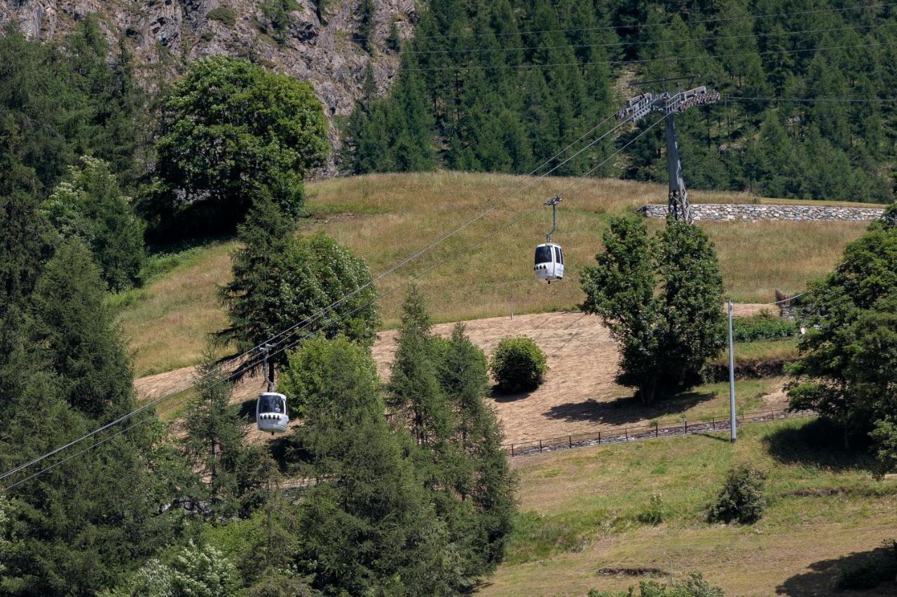 Hellochalet - Chalet Northern Lights - Family Ski Chalet With Garden Walking Distance Lift Valtournenche Εξωτερικό φωτογραφία
